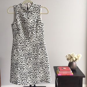 Ann Taylor Leopard Print Dress